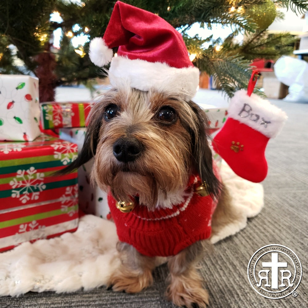 2019 - A Difficult Year in a Good Way